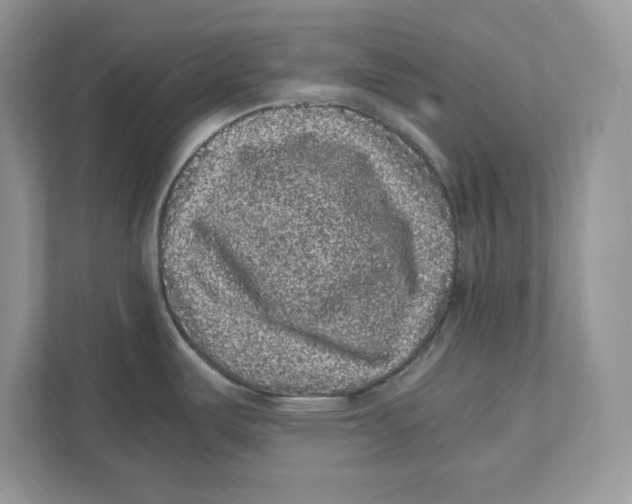 X0000110871487200907091350