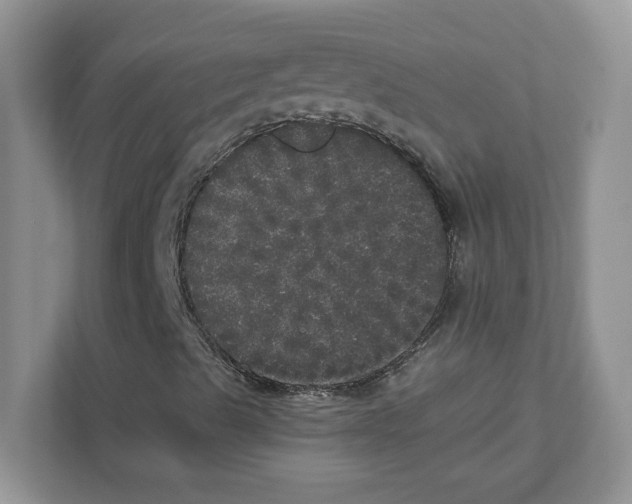 X0000110871489200907091350