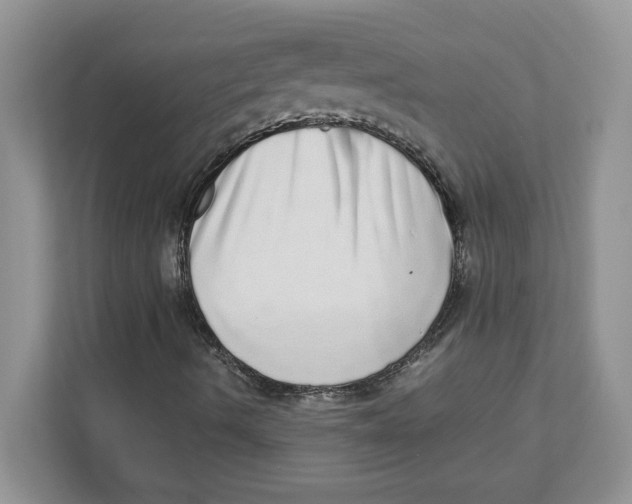 X0000110871490200907091350