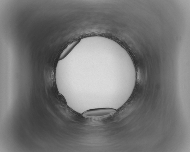 X0000110871492200907091350