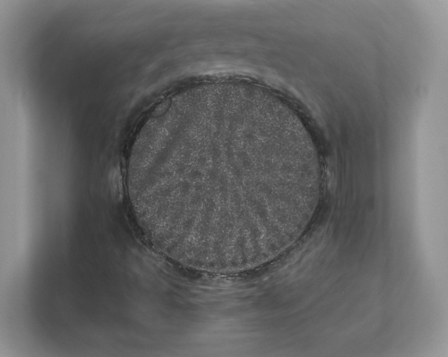 X0000110871493200907091350