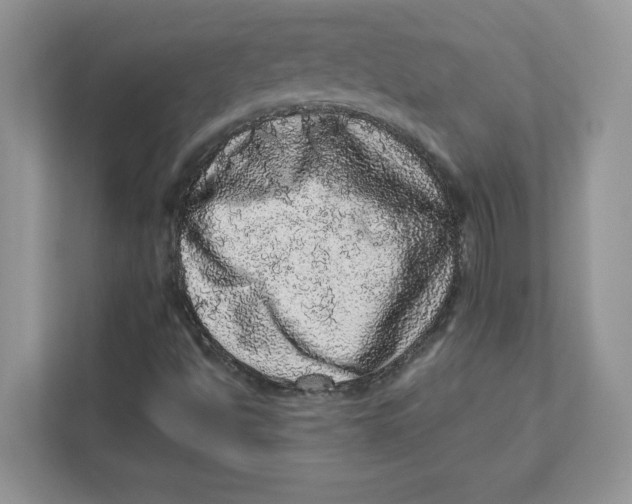 X0000110871494200907091350