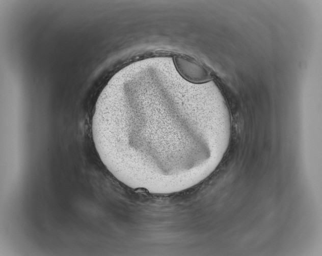 X0000110871495200907091350