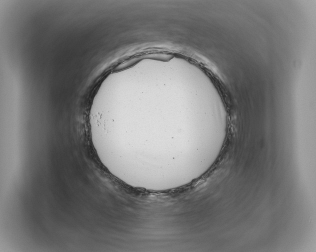 X0000110871496200907091350