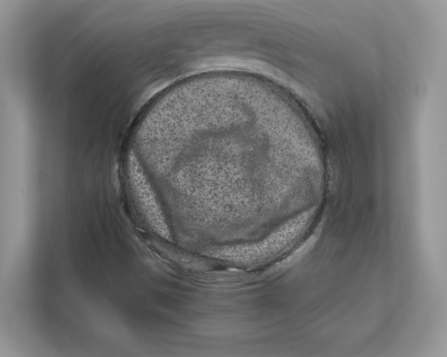 X0000110871497200907091350