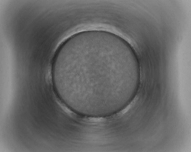 X0000110871498200907091350