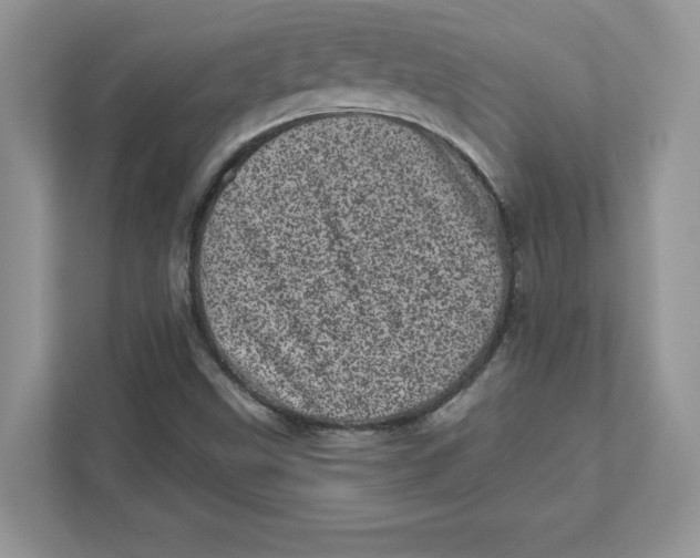 X0000110871499200907091350