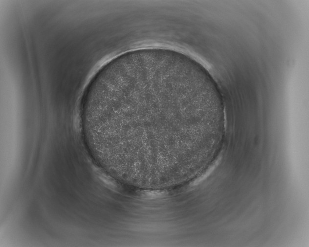 X0000110871501200907091350