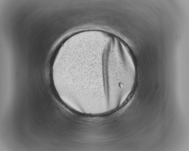 X0000110871502200907091350