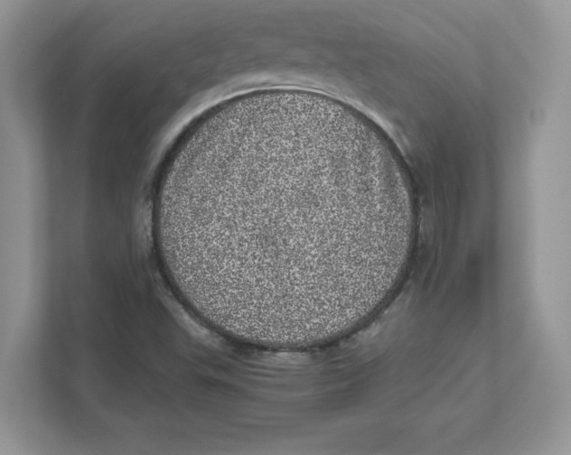 X0000110871503200907091350