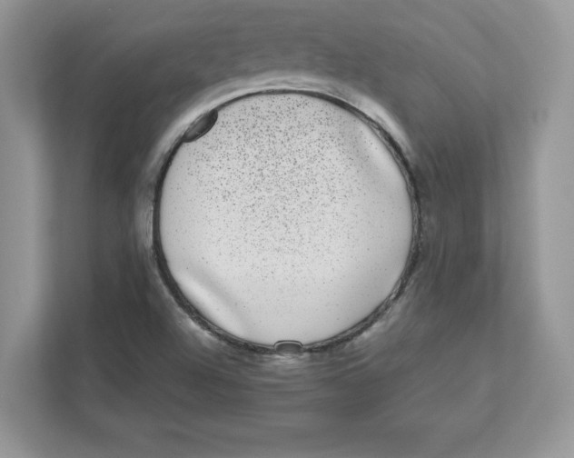 X0000110871504200907091350