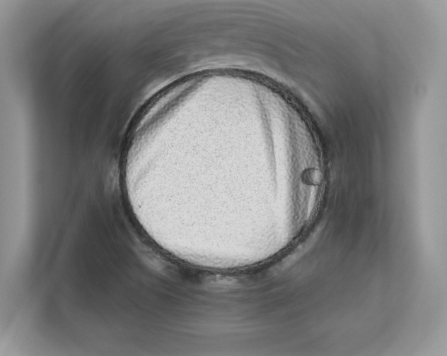 X0000110871505200907091350