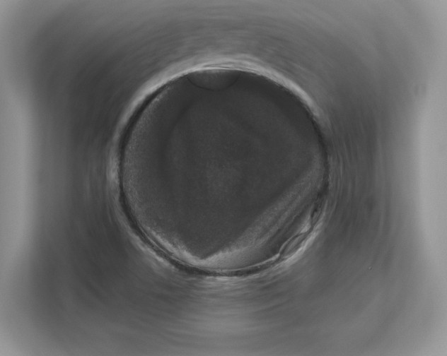 X0000110871506200907091350