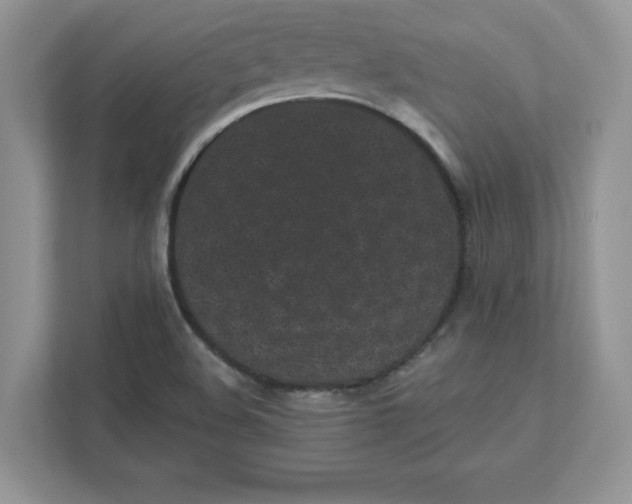 X0000110871508200907091350