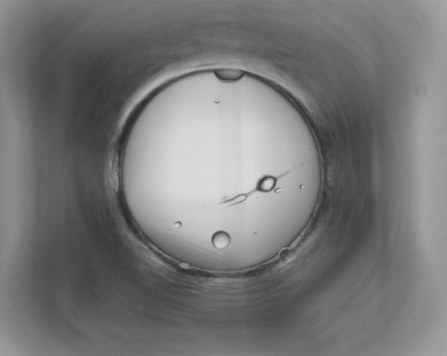 X0000110871510200907091350