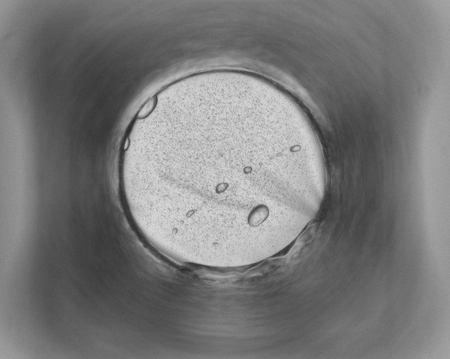 X0000110871512200907091350