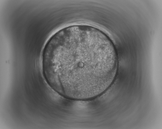 X0000110871514200907091350