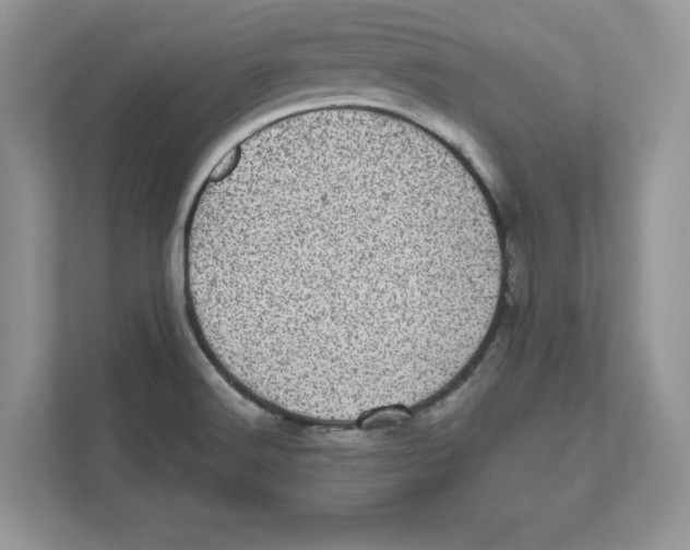 X0000110871516200907091350