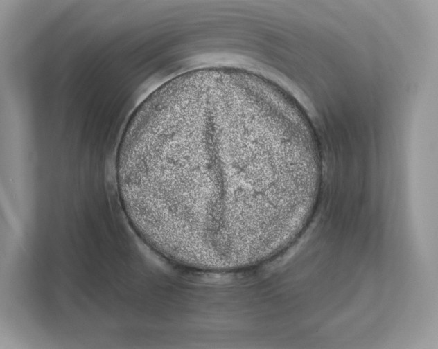 X0000110871521200907091350