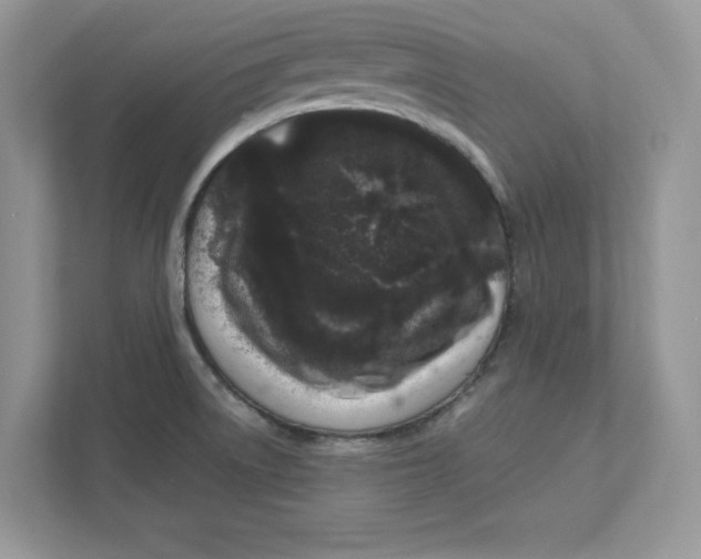 X0000110871522200907091350