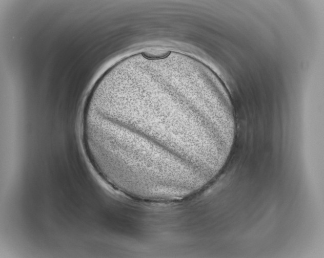 X0000110871523200907091350