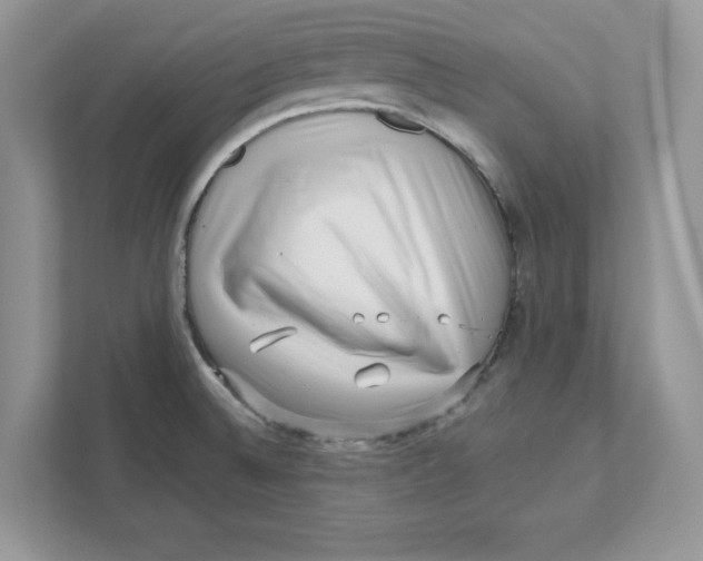 X0000110871524200907091350