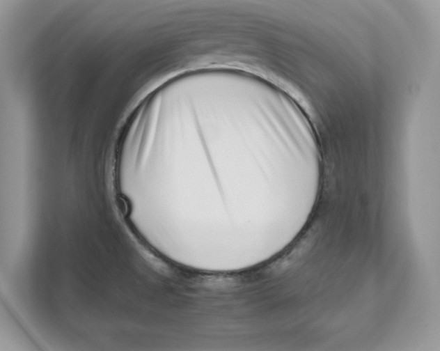 X0000110871525200907091350