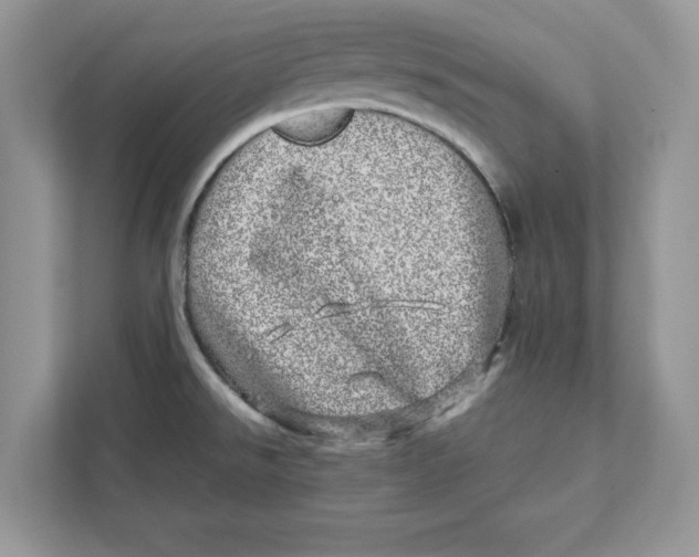 X0000110871526200907091350