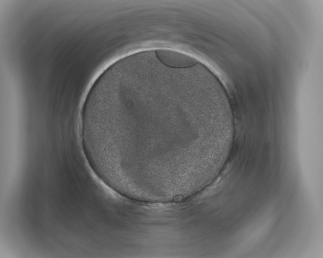 X0000110871527200907091350