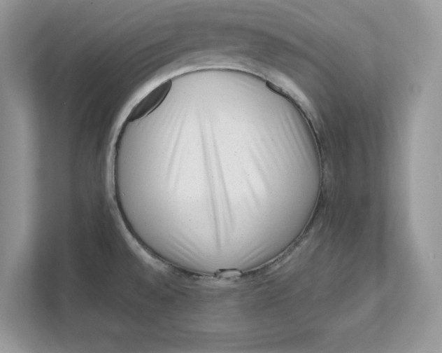 X0000110871528200907091350