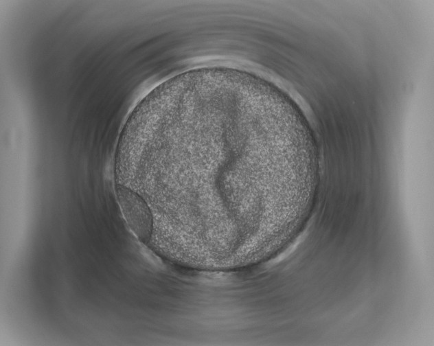 X0000110871529200907091350