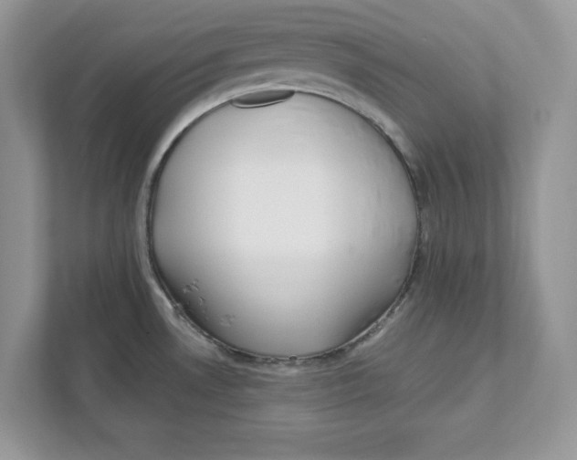 X0000110871530200907091350