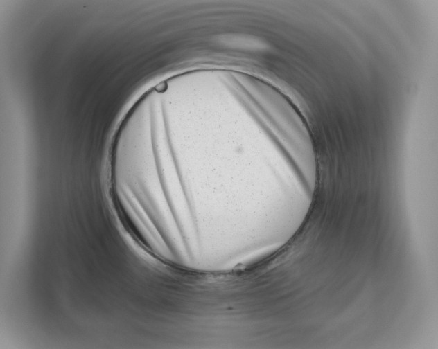 X0000110871531200907091350