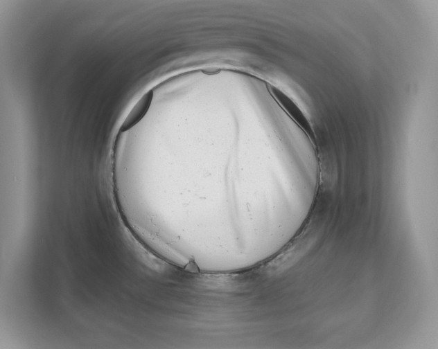 X0000110871532200907091350