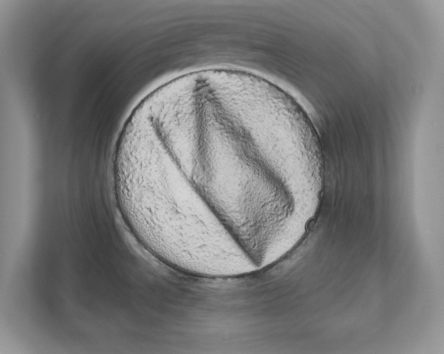 X0000110871534200907091350