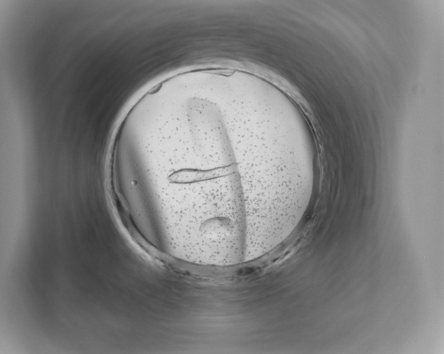 X0000110871536200907091350