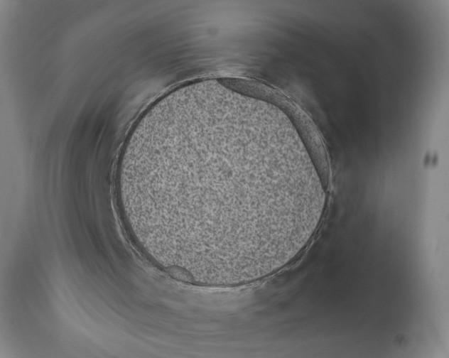 X0000110870001200907161449