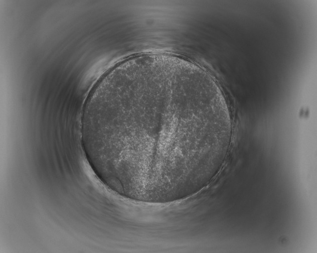 X0000110870002200907161449