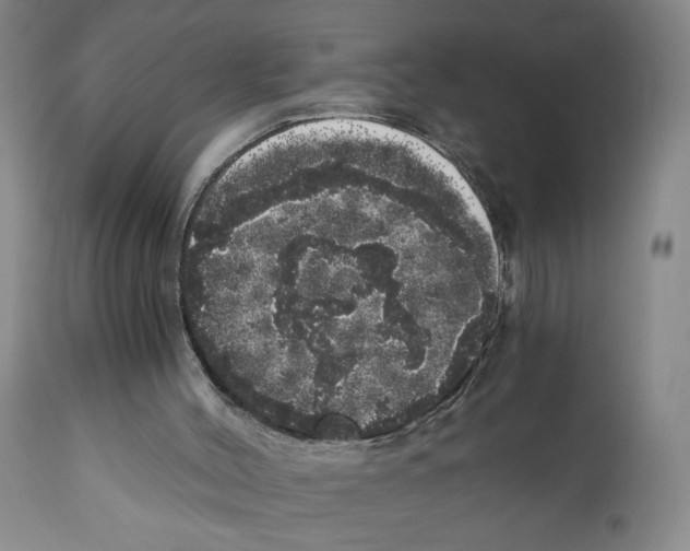 X0000110870004200907161449