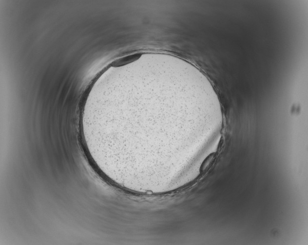 X0000110870005200907161449