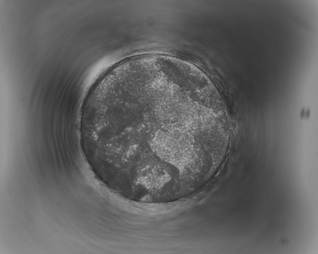 X0000110870006200907161449