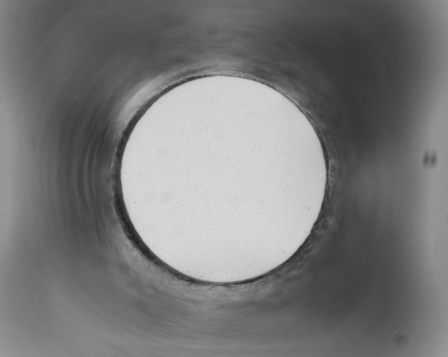 X0000110870007200907161449