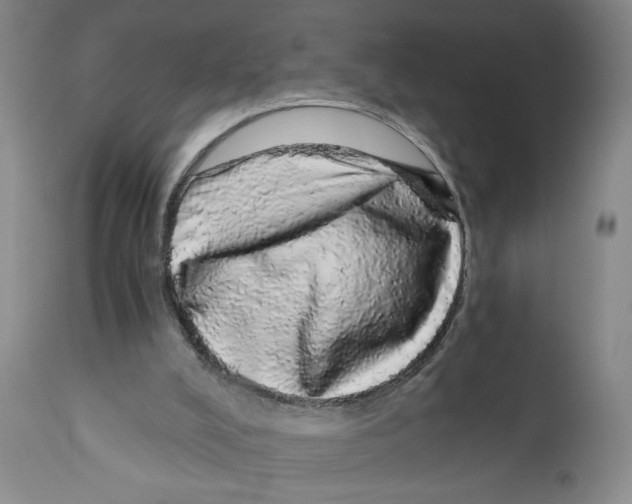 X0000110870008200907161449