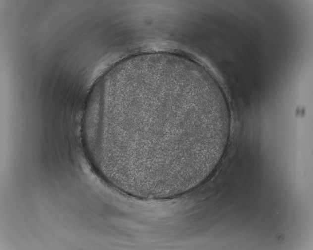 X0000110870010200907161449