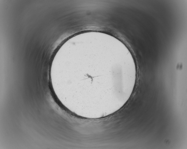 X0000110870011200907161449