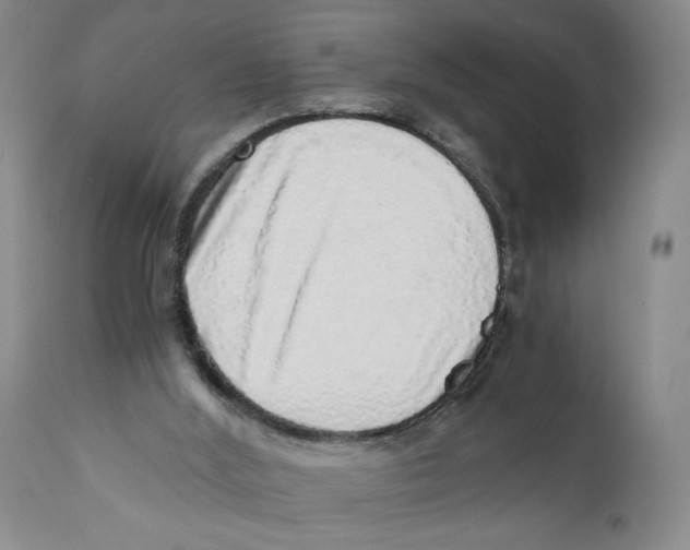 X0000110870012200907161449