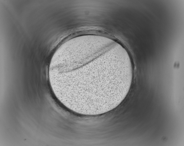 X0000110870013200907161449