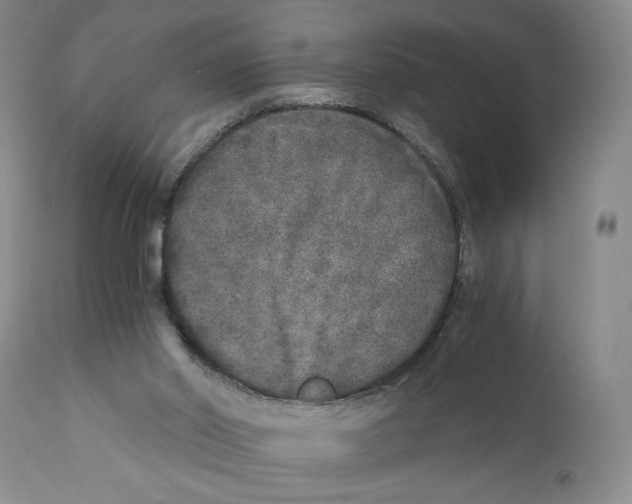 X0000110870014200907161449