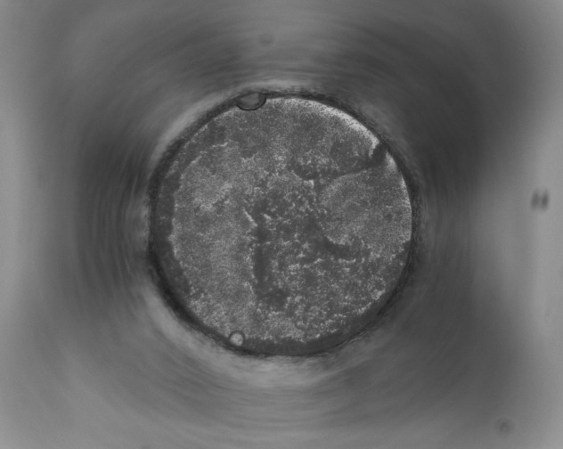 X0000110870016200907161449