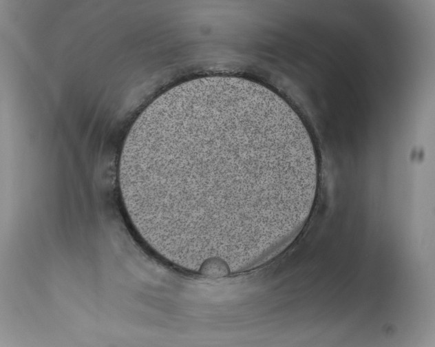 X0000110870017200907161449